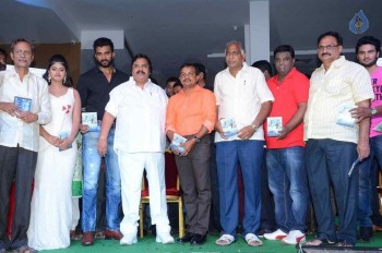 Anaganaga Oka Chitram Audio Launch - 26 of 33