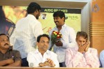 Andamaina Maaya Audio Launch - 3 of 55