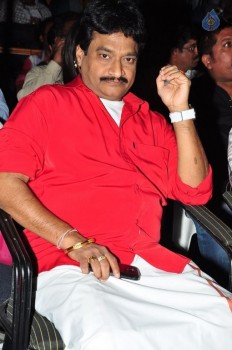 Anushtanam Movie Audio Launch - 12 of 58