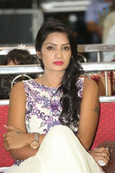 Appudala Ippudila Audio Launch 1 - 51 of 62