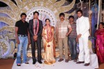 Aryan Rajesh Wedding Reception - 01 - 36 of 44