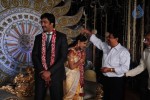 Aryan Rajesh Wedding Reception - 03 - 29 of 96