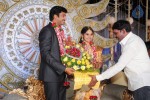 Aryan Rajesh Wedding Reception - 03 - 50 of 96
