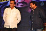 Baadshah Movie Audio Launch 04 - 121 of 187