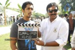 Baava Movie Opening Stills - 52 of 68