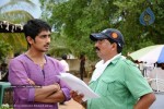 Baava Movie Working Stills - 3 of 14