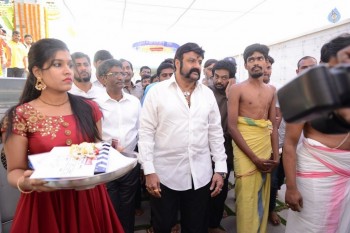 Balakrishana 101 Movie Opening 1 - 1 of 84