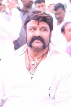 Balakrishana 101 Movie Opening 2 - 32 of 84