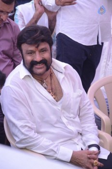 Balakrishana 101 Movie Opening 2 - 52 of 84