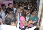 Balakrishna And Ileana At Basavatarakam Cancer Hospital Breast Cancer Awareness  - 1 of 11