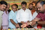 Nandamuri Balakrishna Bday 2014 Celebrations - 1 of 184