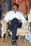 Nandamuri Balakrishna Bday 2014 Celebrations - 11 of 184