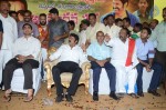 Nandamuri Balakrishna Bday 2014 Celebrations - 21 of 184