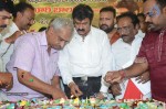 Nandamuri Balakrishna Bday 2014 Celebrations - 27 of 184