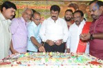 Nandamuri Balakrishna Bday 2014 Celebrations - 33 of 184