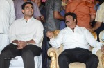 Nandamuri Balakrishna Bday 2014 Celebrations - 43 of 184