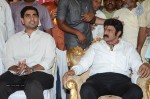 Nandamuri Balakrishna Bday 2014 Celebrations - 50 of 184