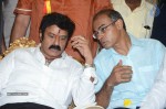 Nandamuri Balakrishna Bday 2014 Celebrations - 54 of 184