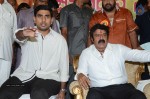 Nandamuri Balakrishna Bday 2014 Celebrations - 59 of 184