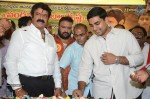 Nandamuri Balakrishna Bday 2014 Celebrations - 93 of 184