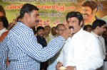 Nandamuri Balakrishna Bday 2014 Celebrations - 95 of 184