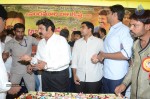 Nandamuri Balakrishna Bday 2014 Celebrations - 124 of 184