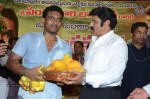 Nandamuri Balakrishna Bday 2014 Celebrations - 149 of 184