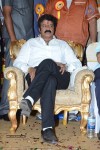 Nandamuri Balakrishna Bday 2014 Celebrations - 156 of 184