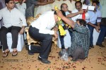 Nandamuri Balakrishna Bday 2014 Celebrations - 166 of 184