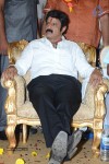 Nandamuri Balakrishna Bday 2014 Celebrations - 172 of 184