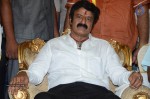 Nandamuri Balakrishna Bday 2014 Celebrations - 173 of 184