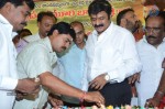 Nandamuri Balakrishna Bday 2014 Celebrations - 177 of 184