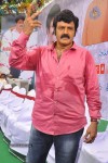 Balakrishna Birthday Celebrations  - 2 of 277