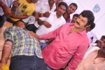 Balakrishna Birthday Celebrations  - 8 of 277