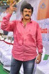 Balakrishna Birthday Celebrations  - 10 of 277