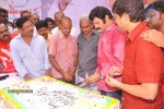 Balakrishna Birthday Celebrations  - 14 of 277