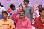 Balakrishna Birthday Celebrations  - 20 of 277