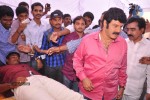 Balakrishna Birthday Celebrations  - 26 of 277