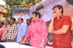 Balakrishna Birthday Celebrations  - 30 of 277