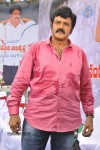 Balakrishna Birthday Celebrations  - 45 of 277