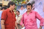 Balakrishna Birthday Celebrations  - 51 of 277