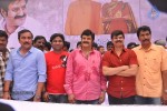 Balakrishna Birthday Celebrations  - 57 of 277