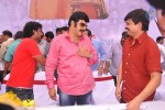 Balakrishna Birthday Celebrations  - 61 of 277