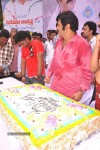 Balakrishna Birthday Celebrations  - 87 of 277