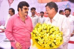 Balakrishna Birthday Celebrations  - 102 of 277