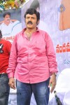 Balakrishna Birthday Celebrations  - 108 of 277