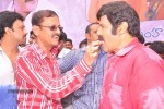 Balakrishna Birthday Celebrations  - 111 of 277