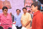 Balakrishna Birthday Celebrations  - 113 of 277