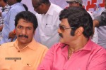 Balakrishna Birthday Celebrations  - 124 of 277