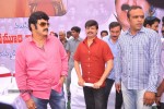 Balakrishna Birthday Celebrations  - 149 of 277